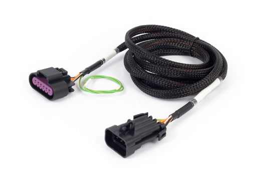 Haltech HT-186507 HAL NEXUS Rebel LS Adaptors