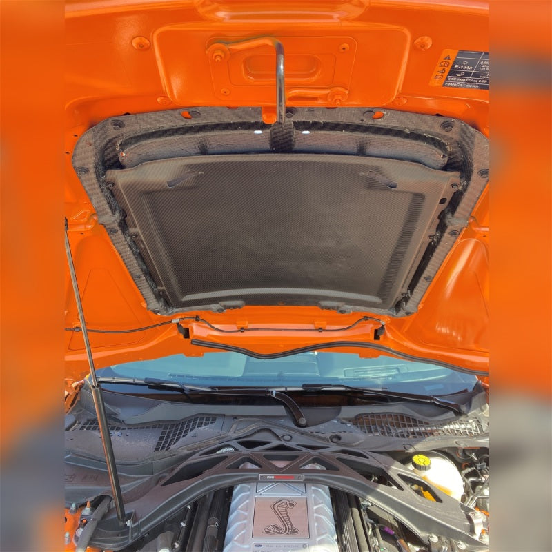 Load image into Gallery viewer, Ford Racing M-16612-C20 FR Hoods
