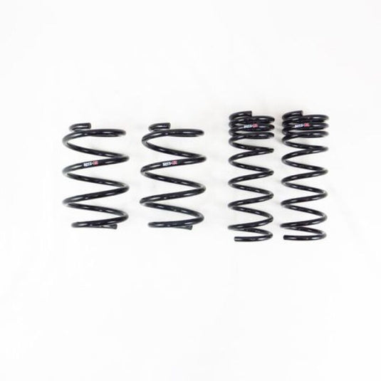 Rs-R F405D RSR Down Sus Springs