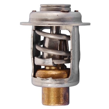 Wsm 004-260 Thermostat - 60Deg. Celsius