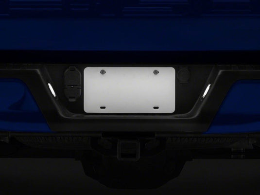 Raxiom T542565 RAX License Plate Bulbs