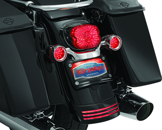 Kuryakyn 3149 KUR License Plate Mounts E