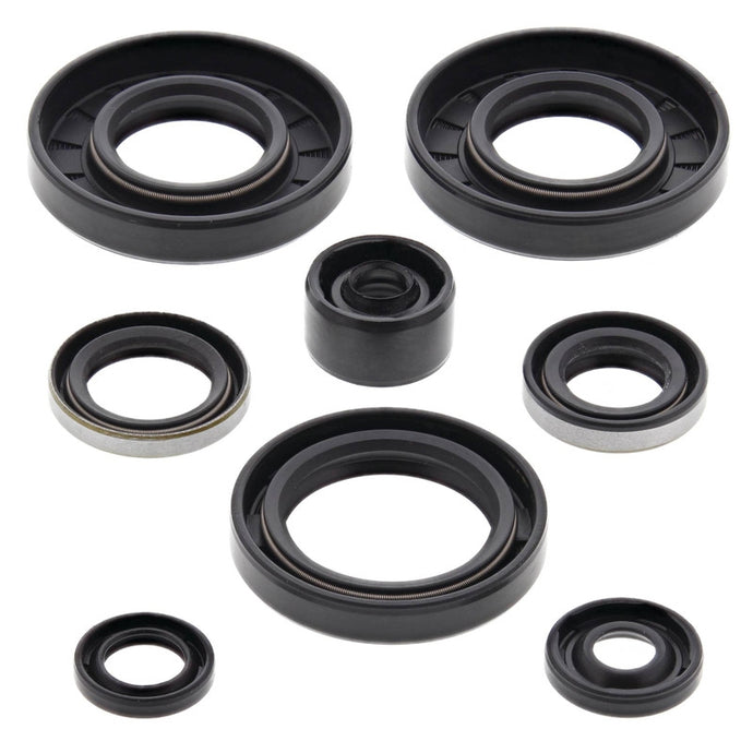 Vertex 822135 Oil Seal Kit