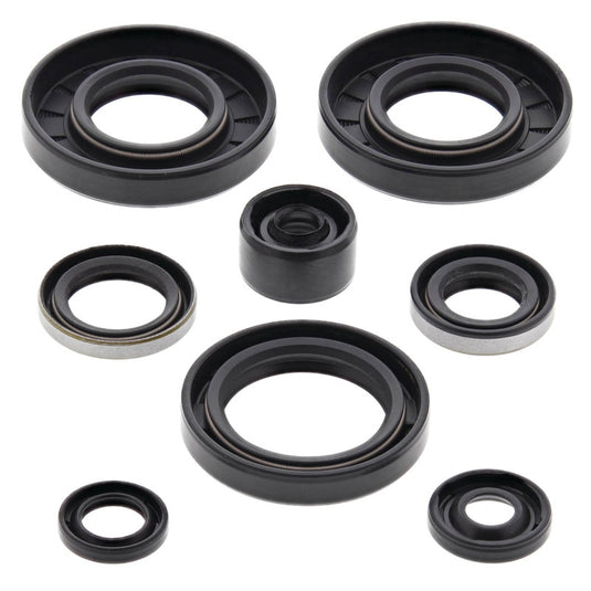 Vertex 822135 Oil Seal Kit