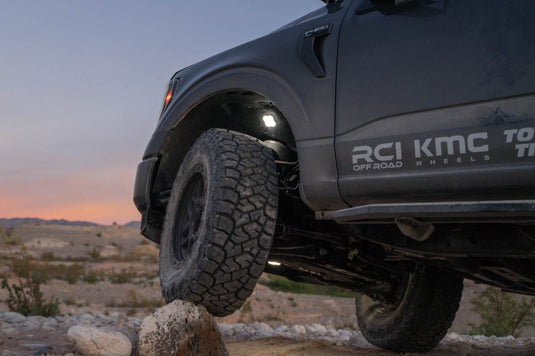 Diode Dynamics DD7431 DIO Rock Lights