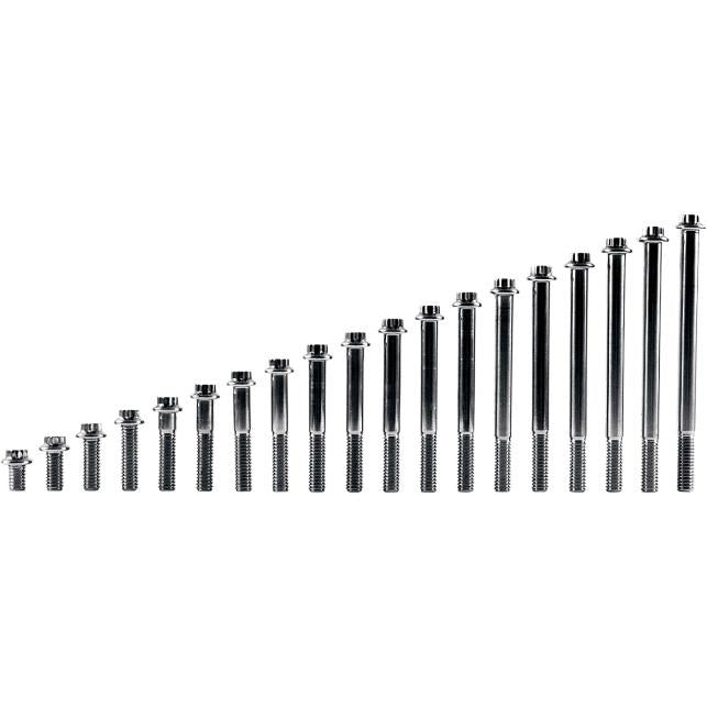 Diamond Engineering TC0522HP-10 12-Point Stainless Steel Coarse Thread Bolt Refill Packs - 5/16in.-18 x 2 1/4in.