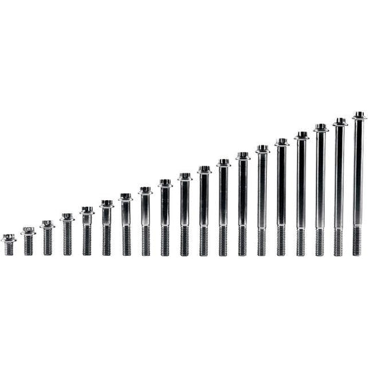 Diamond Engineering TC0522HP-10 12-Point Stainless Steel Coarse Thread Bolt Refill Packs - 5/16in.-18 x 2 1/4in.