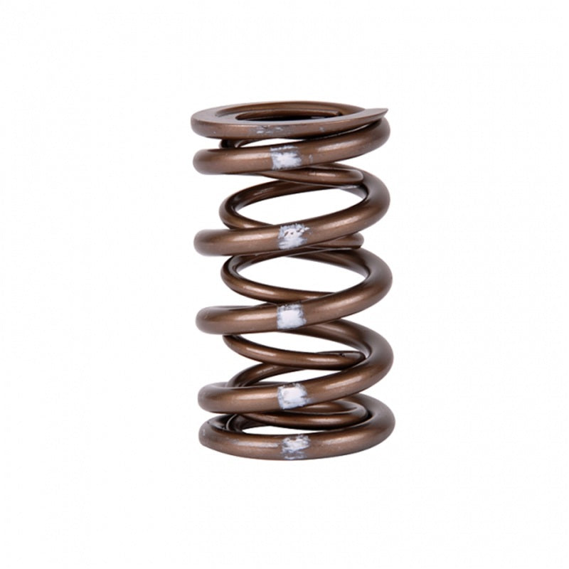Load image into Gallery viewer, Skunk2 Racing 311-05-7350 SK Pro Valve Springs
