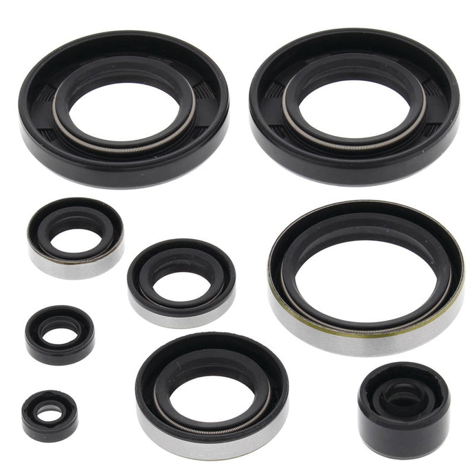 Vertex 822282 Oil Seal Kit