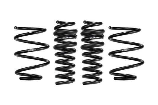 Eibach E10-203-004-01-22 EIB Pro-Kits