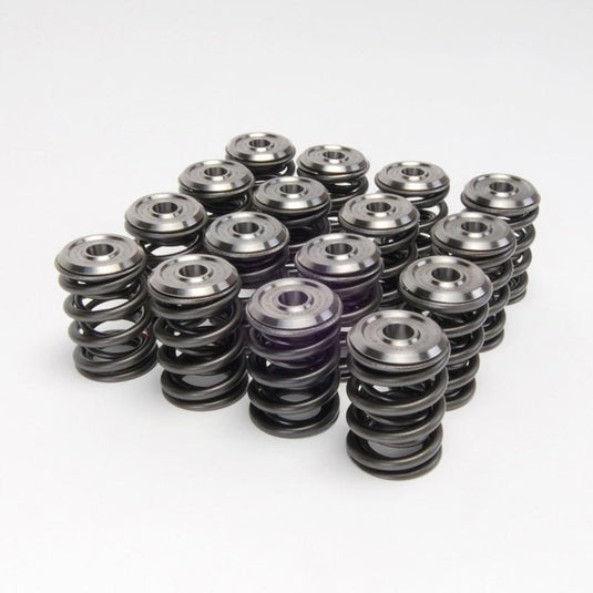Skunk2 Racing 308-05-1300 SK Titanium Retainers