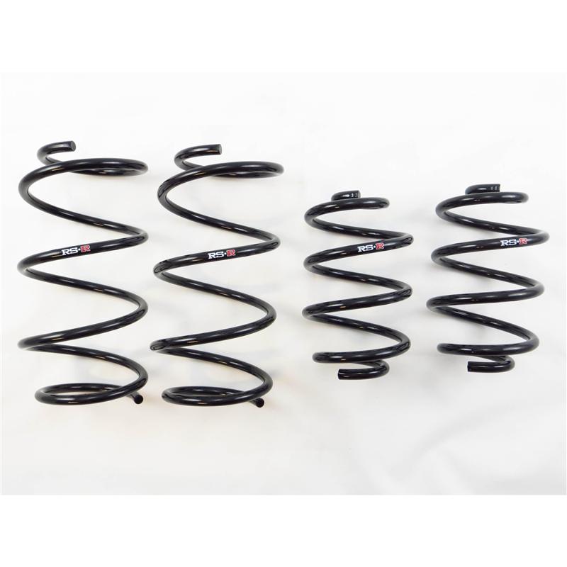 Load image into Gallery viewer, Rs-R N205D RSR Down Sus Springs
