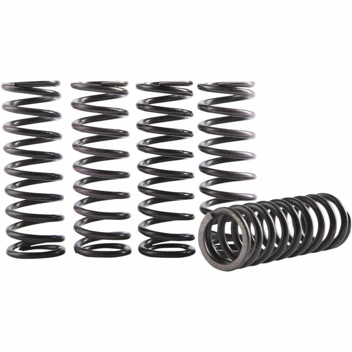 Hinson Racing CS069-5-001 Hi-Temp Clutch Spring Kit