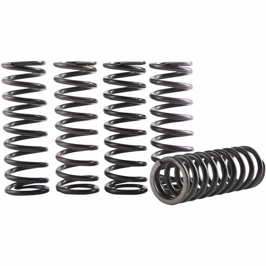Hinson Racing CS069-5-001 Hi-Temp Clutch Spring Kit