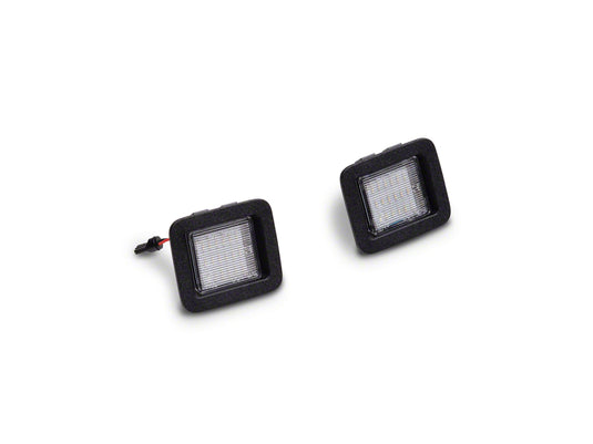 Raxiom T542565 RAX License Plate Bulbs