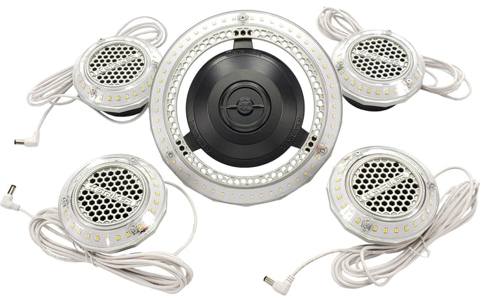 Risk Racing 00194 MPI (Multi-Port Illumination) Light