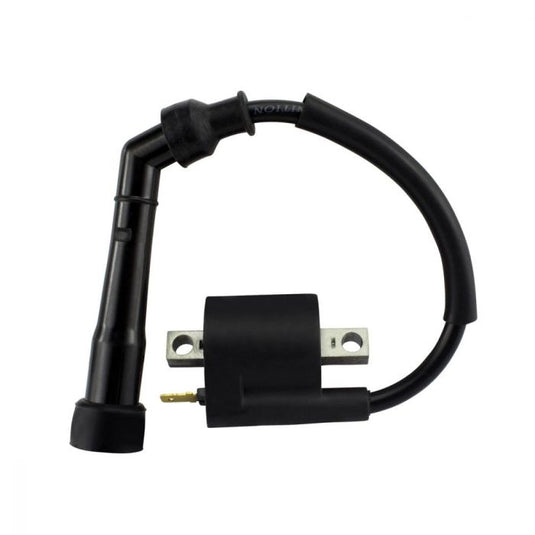 Rm Stator RMS060-108285 External Ignition Coil with Cap