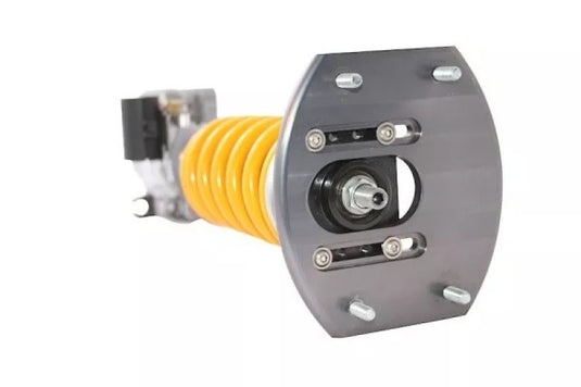 Ohlins POR GN01S1 OHL Coilover - Road & Track