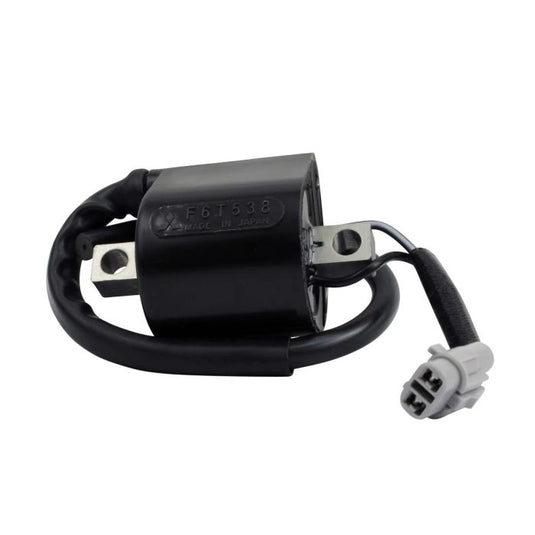 Rm Stator RMS060-108721 External Ignition Coil