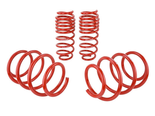 Skunk2 Racing 519-05-1775 SK Lowering Springs