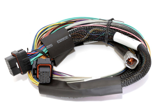 Haltech HT-141302 HAL Elite 2500 Wire-In Harnesses