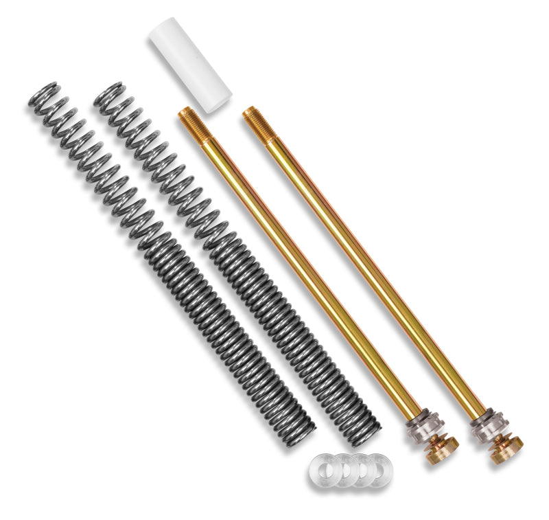 Load image into Gallery viewer, Progressive 31-5054 PGR Fork Springs
