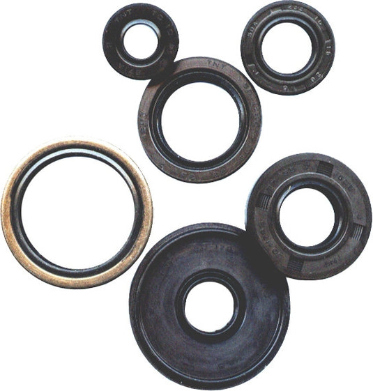 Vertex 822393 Oil Seal Kit