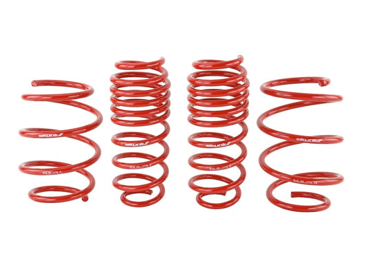 Skunk2 Racing 519-05-1775 SK Lowering Springs