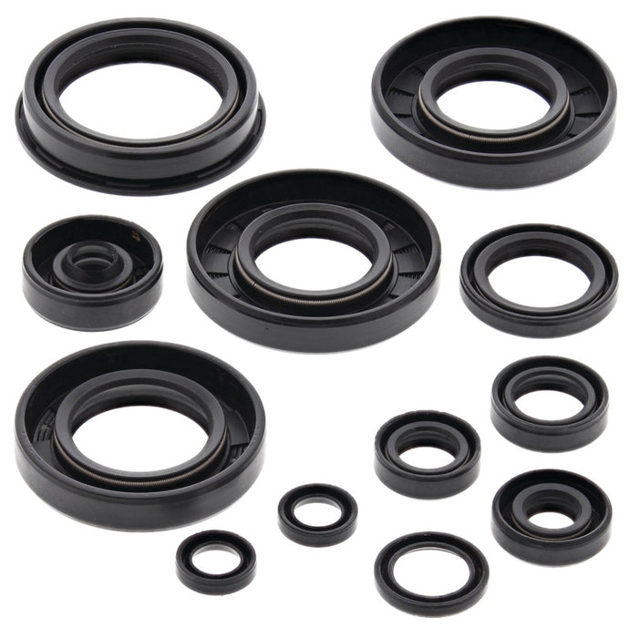 Vertex 822252 Oil Seal Kit