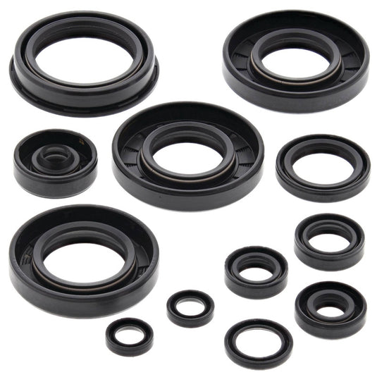 Vertex 822252 Oil Seal Kit