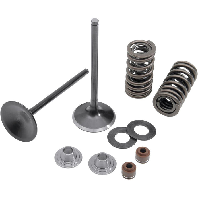Kibblewhite 30-31200 Intake Only Stainless Conversion Valve/Spring Kit