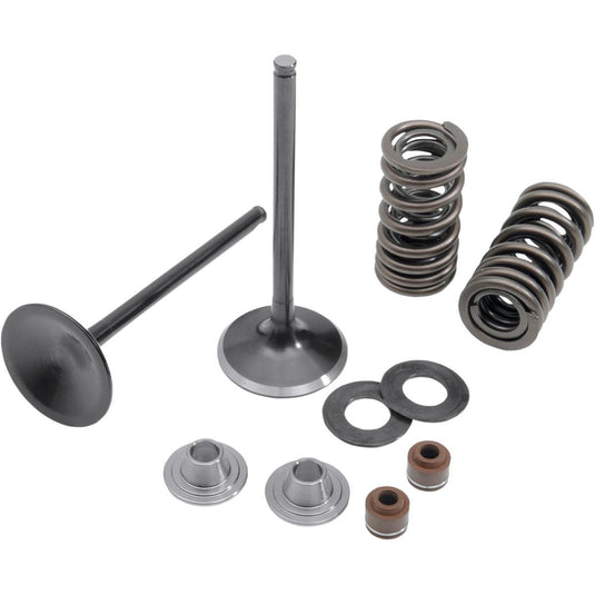 Kibblewhite 30-31200 Intake Only Stainless Conversion Valve/Spring Kit