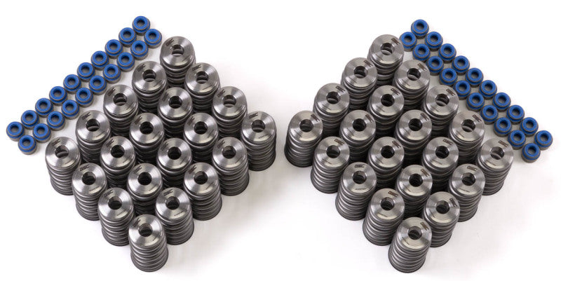 Load image into Gallery viewer, Gsc Power Division 5025 GSC Valve Spring Kits
