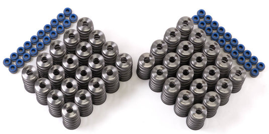 Gsc Power Division 5025 GSC Valve Spring Kits