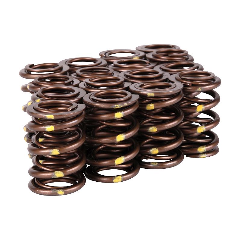 Load image into Gallery viewer, Skunk2 Racing 311-05-7350 SK Pro Valve Springs
