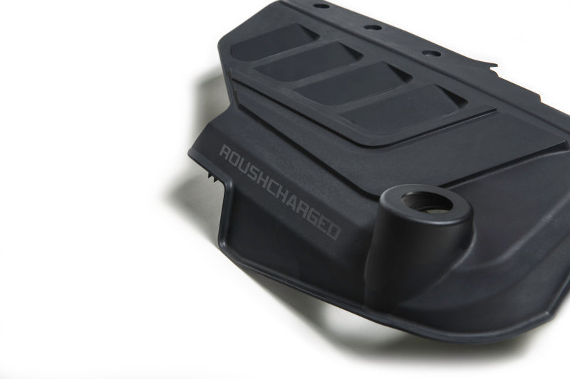 Load image into Gallery viewer, Roush 422161 RSH Coil Covers
