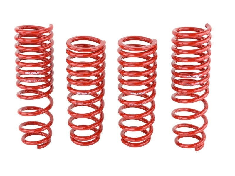 Load image into Gallery viewer, Skunk2 Racing 519-05-1660 SK Lowering Springs
