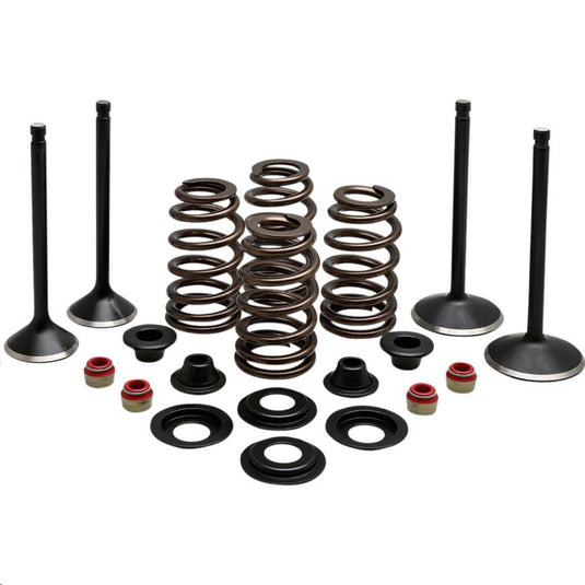 Kibblewhite Precision 20-22850 Engine Valve Kit