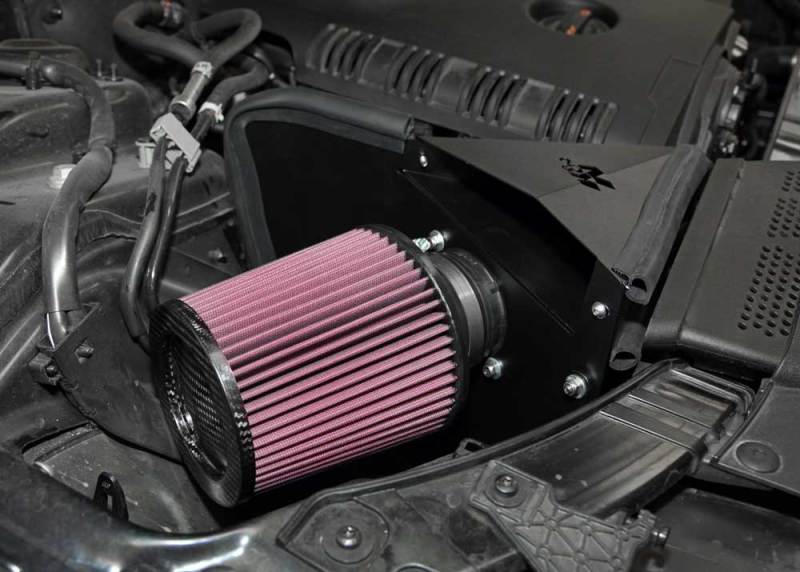 Load image into Gallery viewer, K&amp;N Engineering 69-9505T KN 69 Typhoon Intake

