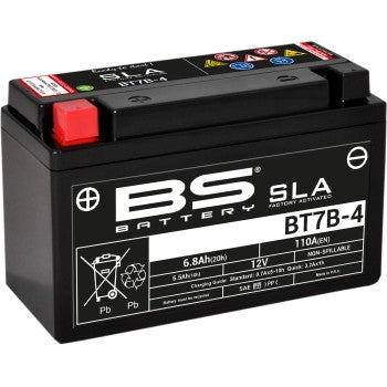 Bs Battery 300641 SLA Factory-Activated AGM Maintenance-Free Battery