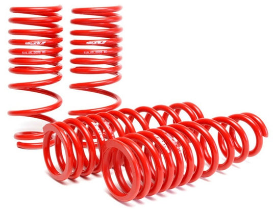 Skunk2 Racing 519-05-1550 SK Lowering Springs