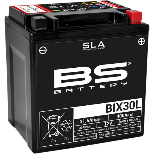 Bs Battery 300631 SLA Factory-Activated AGM Maintenance-Free Battery