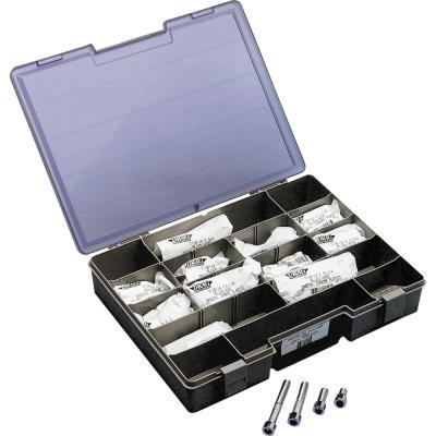 Drag Specialties DS-190536 Coarse-Thread Socket-Head Bolts -1/4in.-20 x 7/8in.