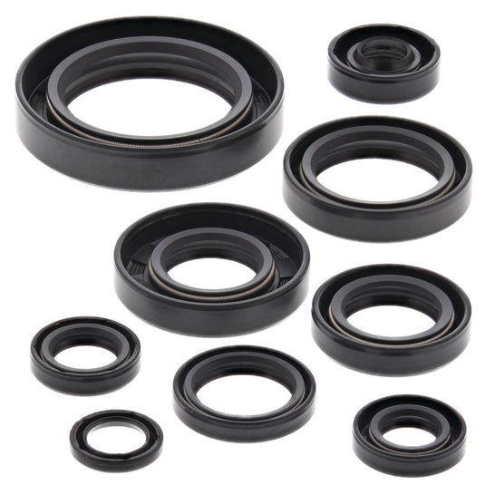 Vertex 822109 Oil Seal Kit