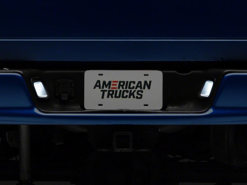 Load image into Gallery viewer, Raxiom R109176 RAX License Plate Bulbs
