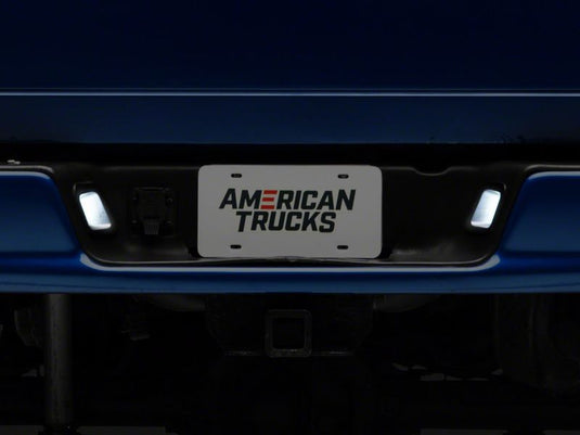 Raxiom R109176 RAX License Plate Bulbs