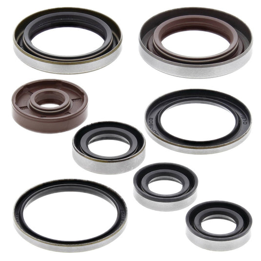 Vertex 822320 Oil Seal Kit