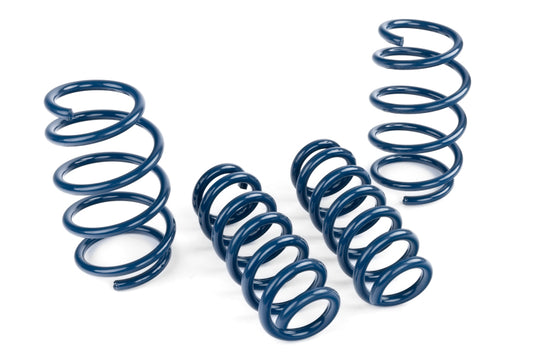 Dinan D100-0938 DNN Coil Springs