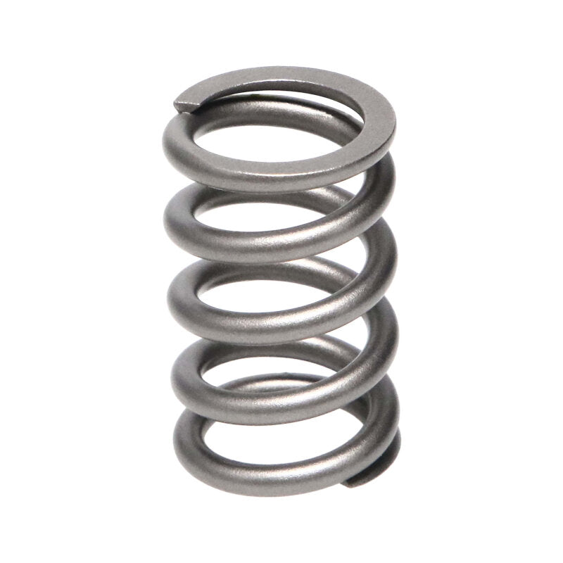 Load image into Gallery viewer, Manley Performance 22180-16 MAN Valve Spring Kits
