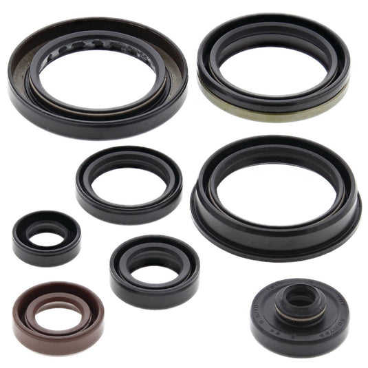 Vertex 822346 Oil Seal Kit